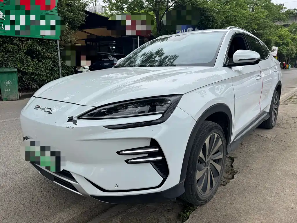 Byd PLUS New Energy 2024