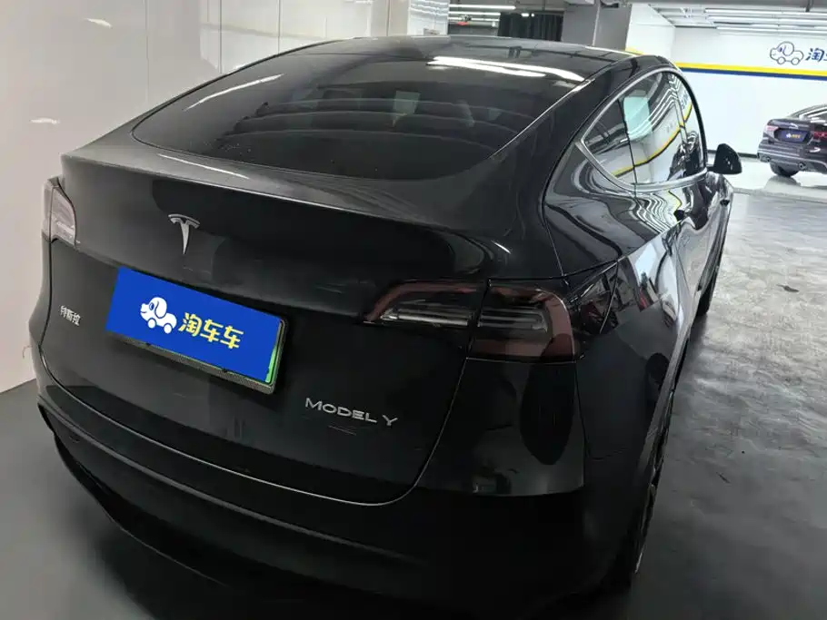 Tesla Model Y — миниатюра 3