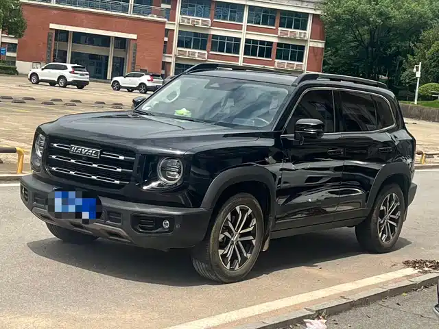 2020 Haval Big Dog
