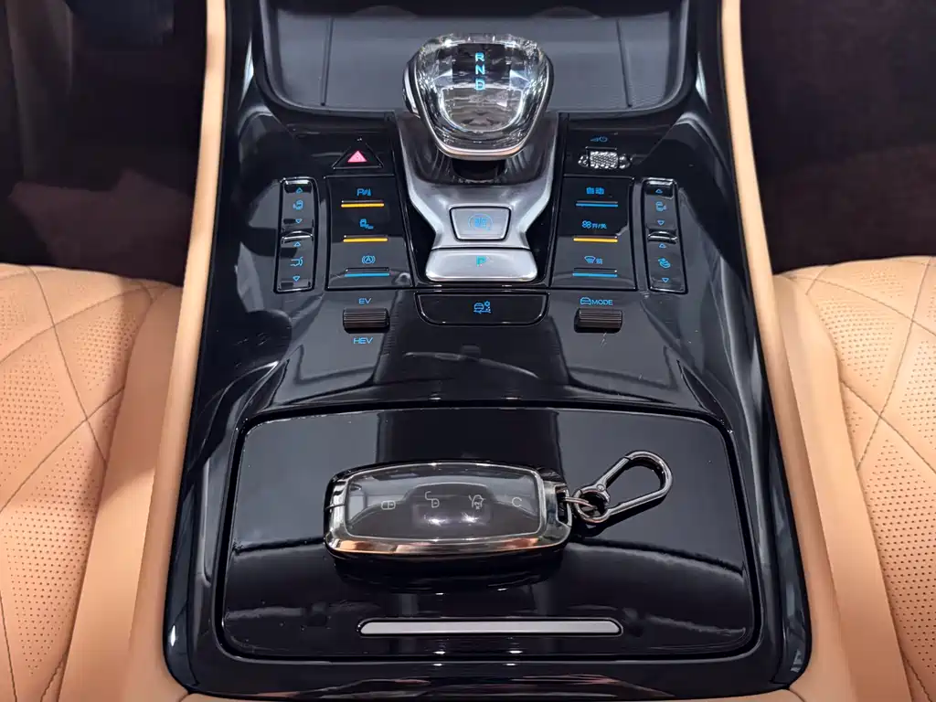 Denza D9 2024 DM-i 980 Luxury