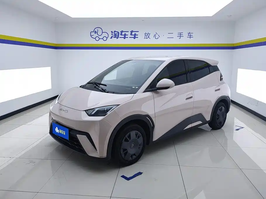 BYD Seagull