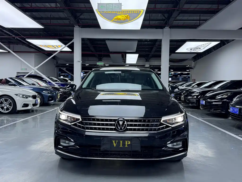 Volkswagen Magotan 2023 200 330TSI DSG Lead