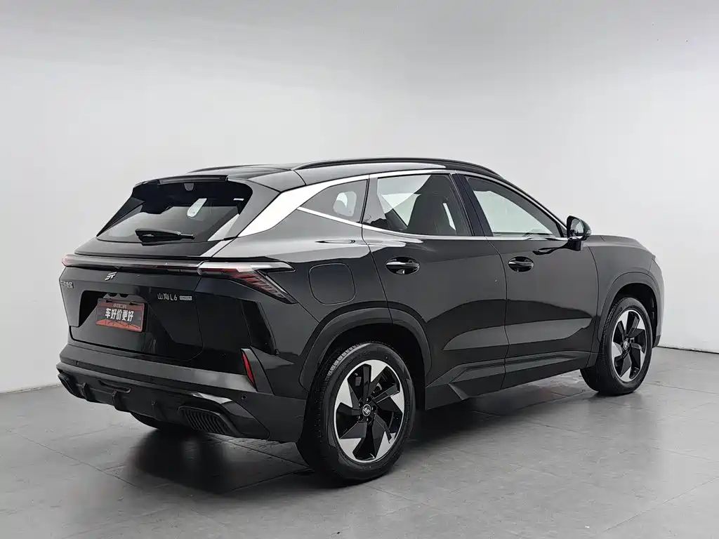 Shanhai Shanhai L6 — миниатюра 2