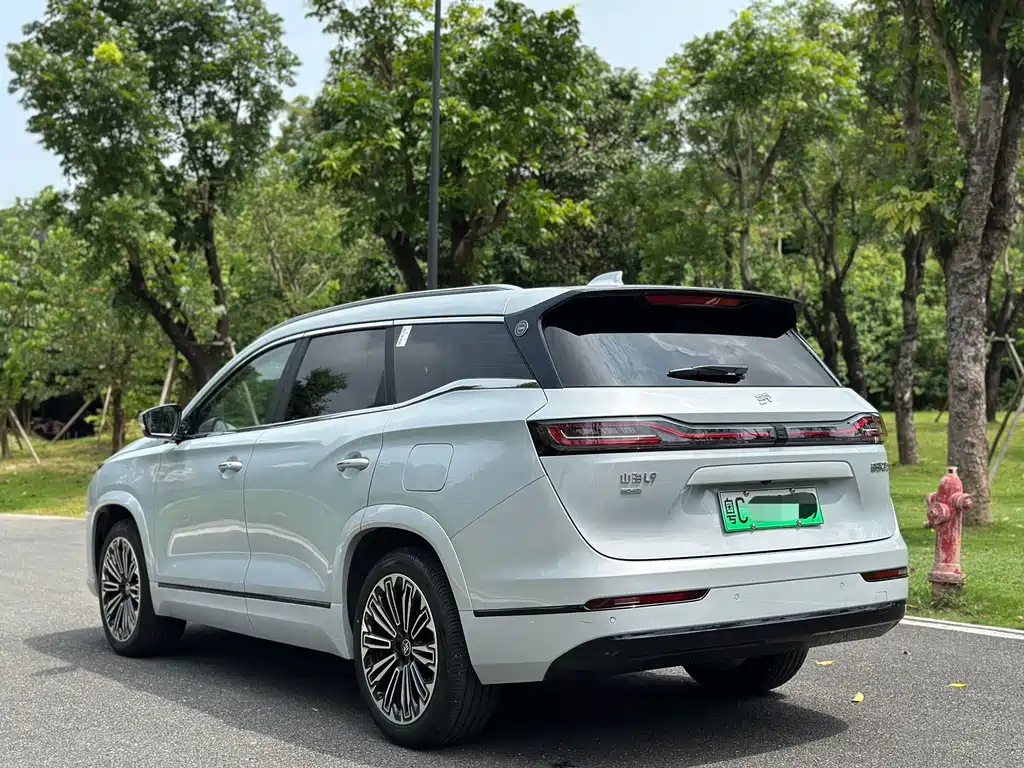 Shanhai Shanhai L9 — миниатюра 7