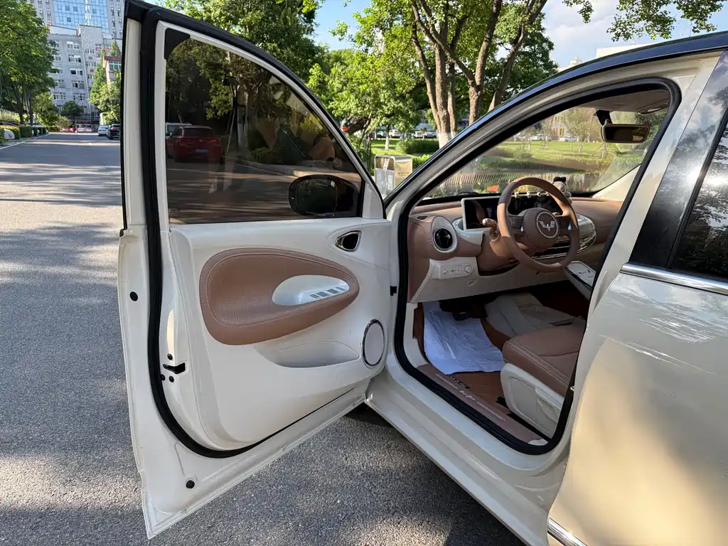 Wuling Binguo 2025 333km