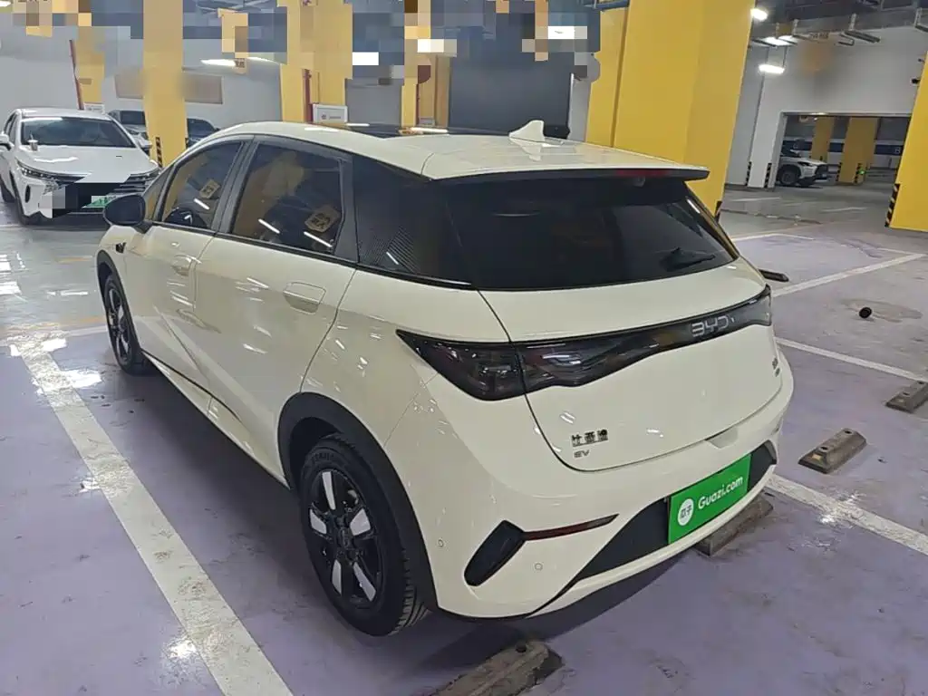 BYD Dolphin 2025 Smart Drive 410km Fashion