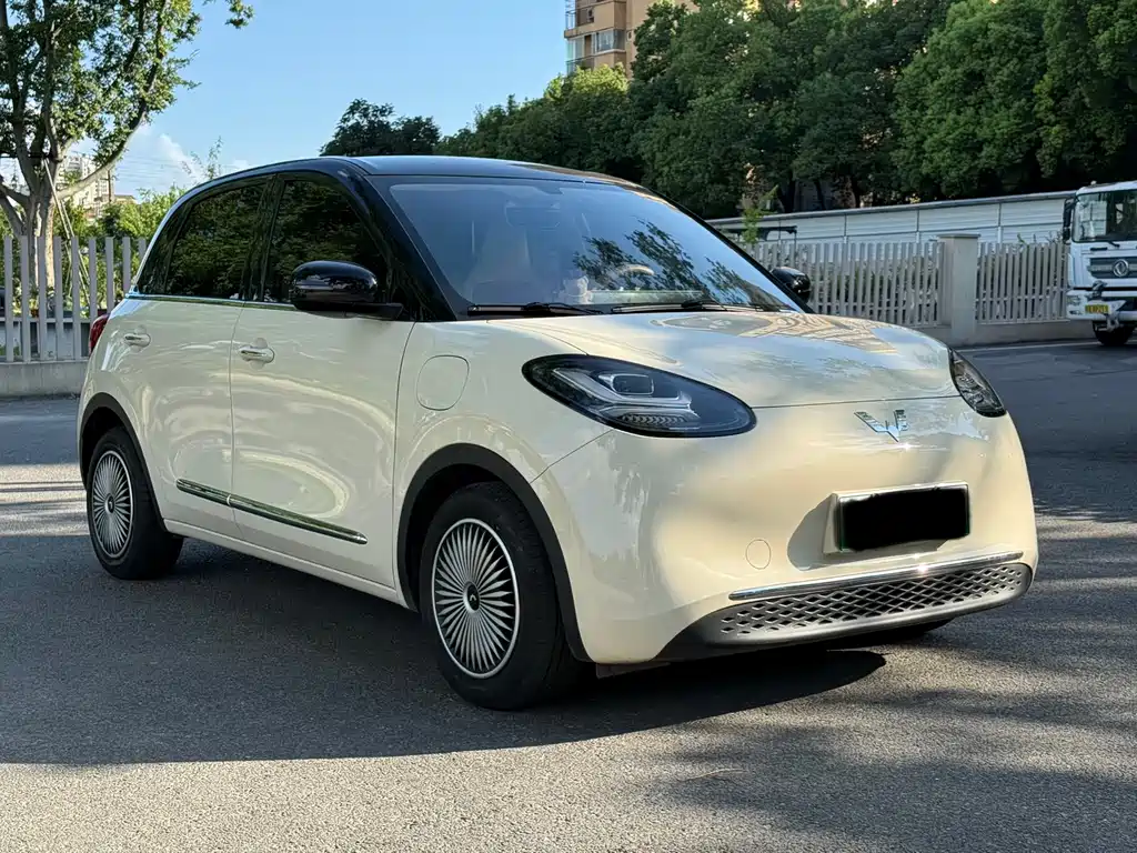 Wuling Binguo 2025 333km