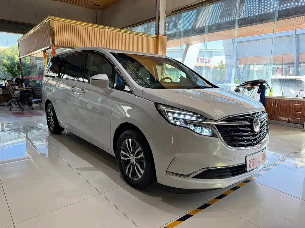 Buick GL8 — миниатюра 3
