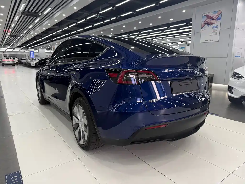 Tesla Model Y — миниатюра 6