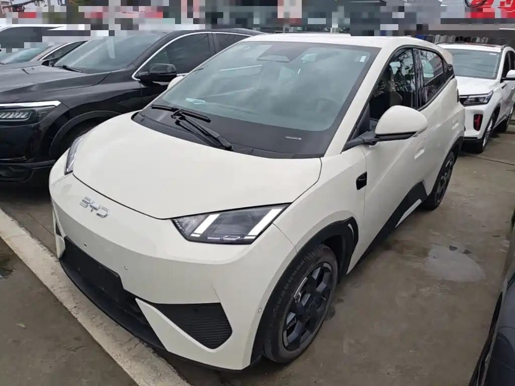 BYD Seagull 2025 Smart Drive 305km Freedom