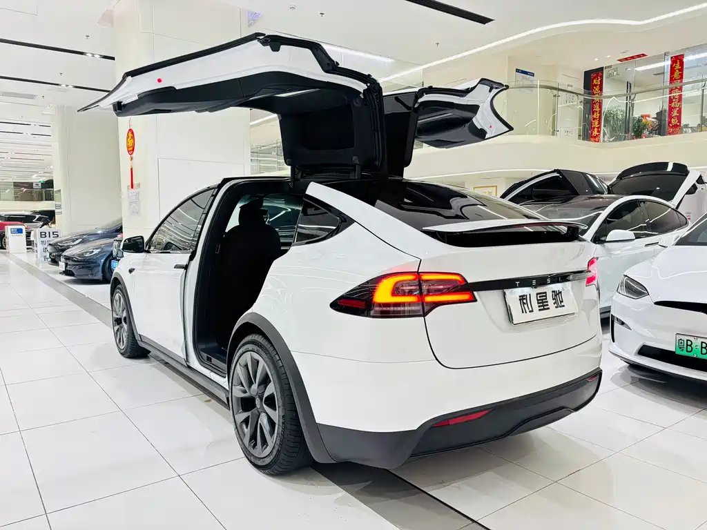 TESLA MODEL X