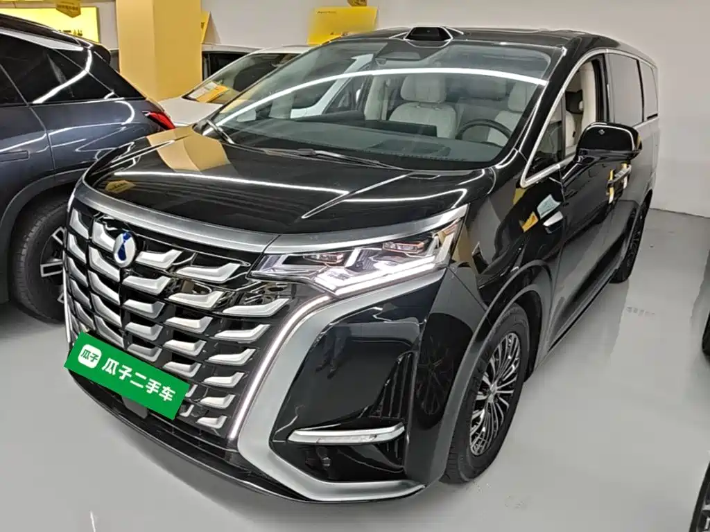 2025 Denza D9 - zdjęcie 1 z 25