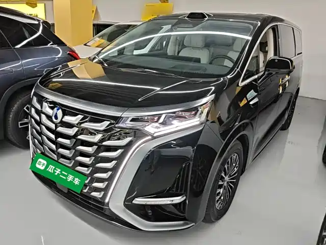 2025 Denza D9