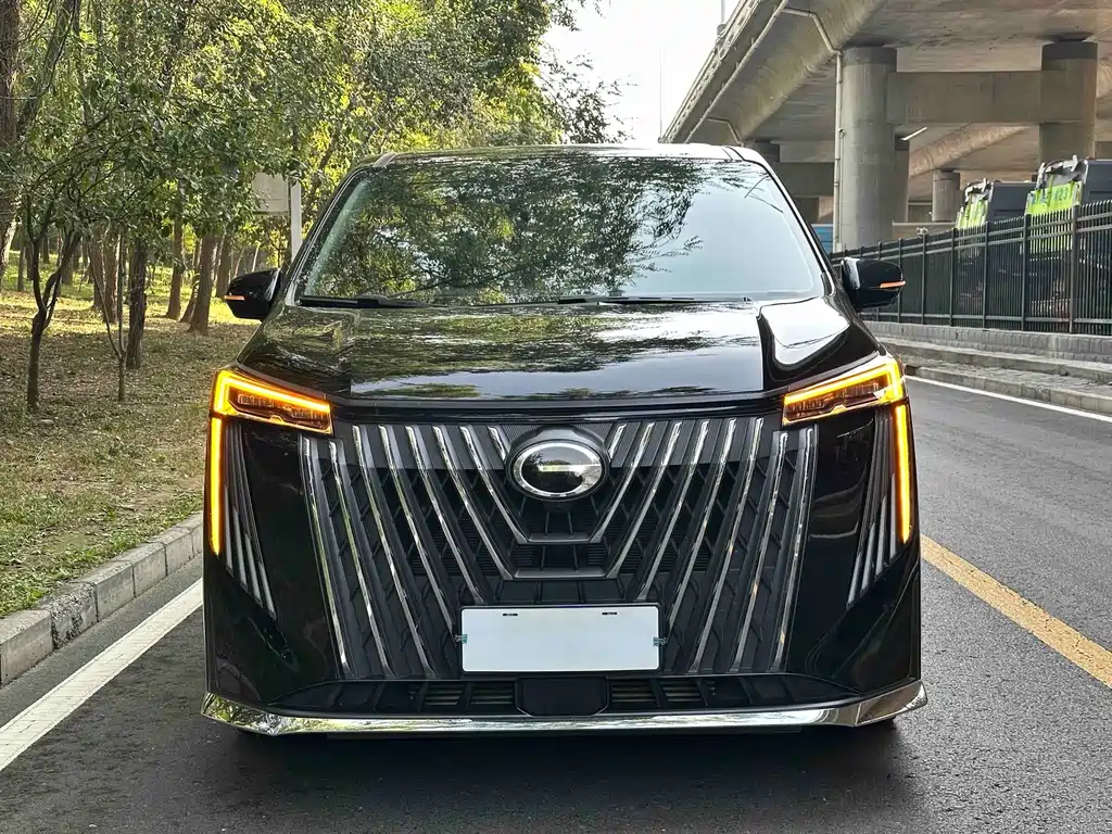 GAC Motor Trumpchi M8 — миниатюра 2