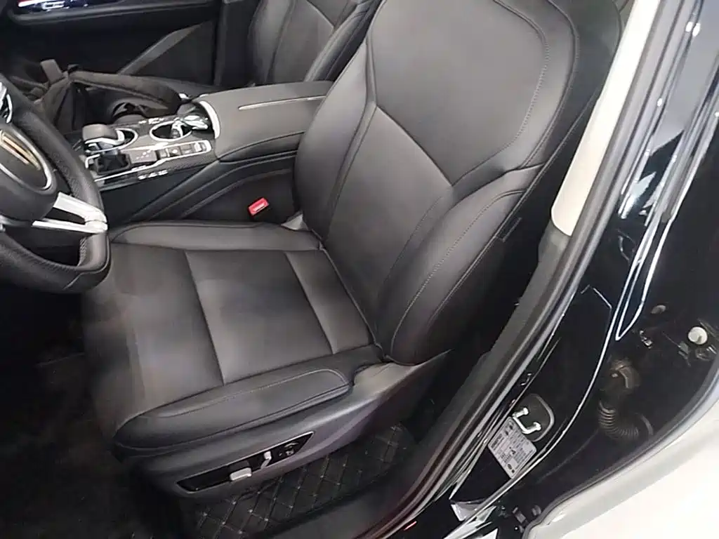 Hongqi Hongqi HS3 PHEV — миниатюра 15