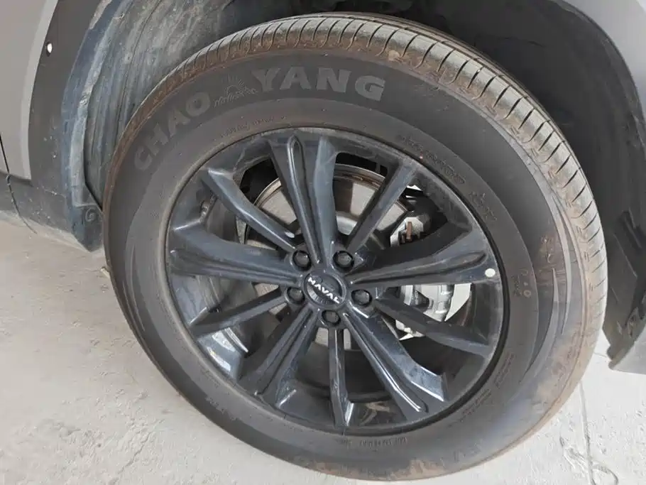 Haval Menglong Petrol — миниатюра 6