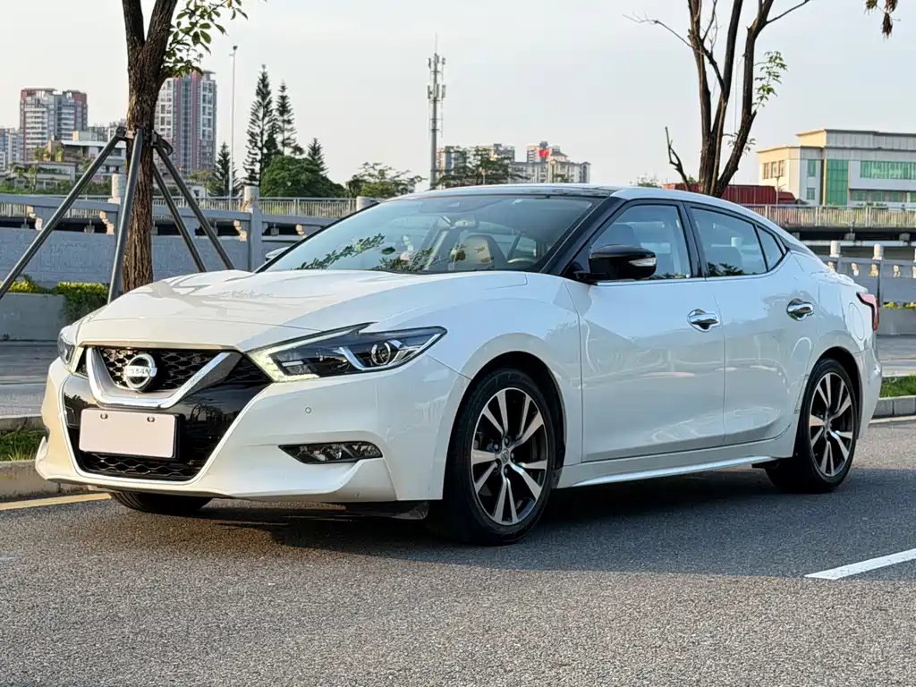 Купить Nissan Cima