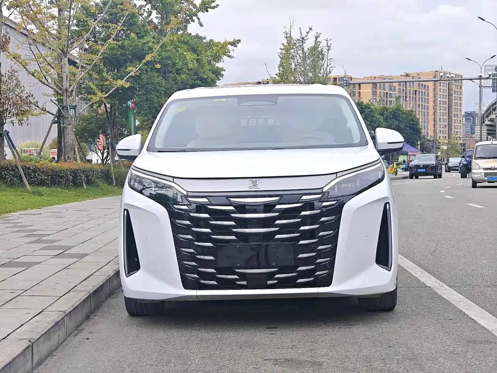 BYD Xia — миниатюра 2
