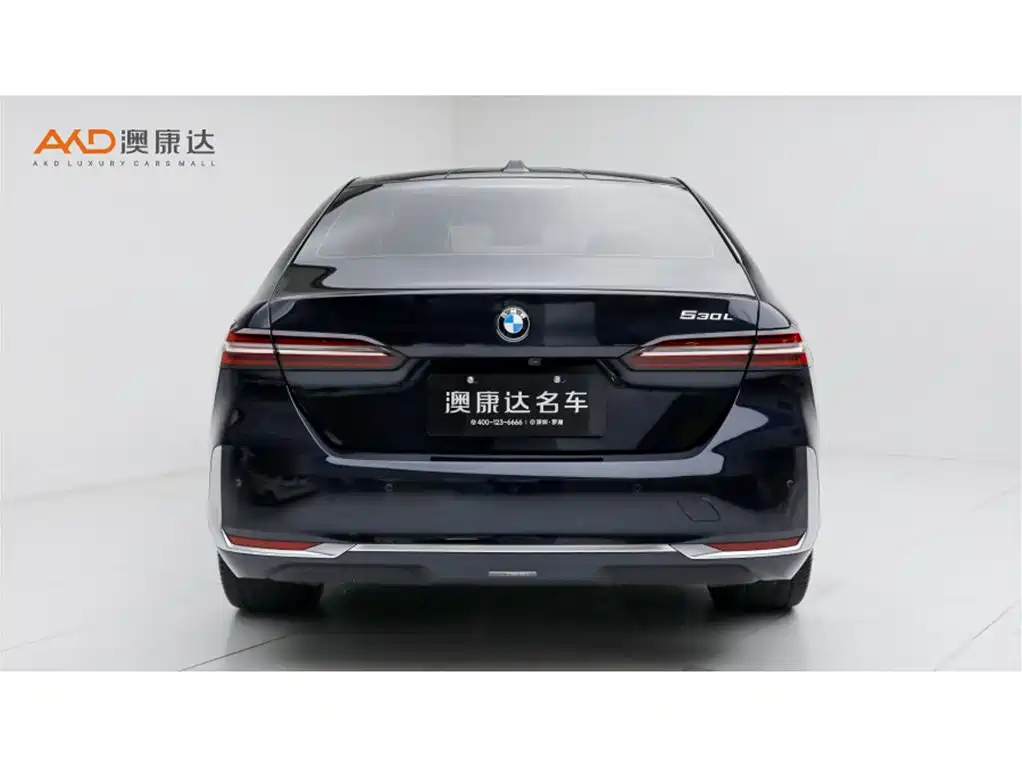 BMW 5 Series — миниатюра 4