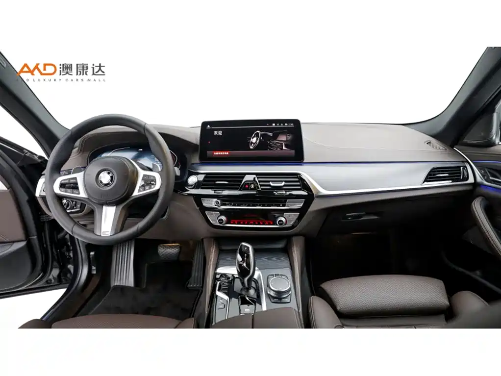 BMW 5 Series — миниатюра 5