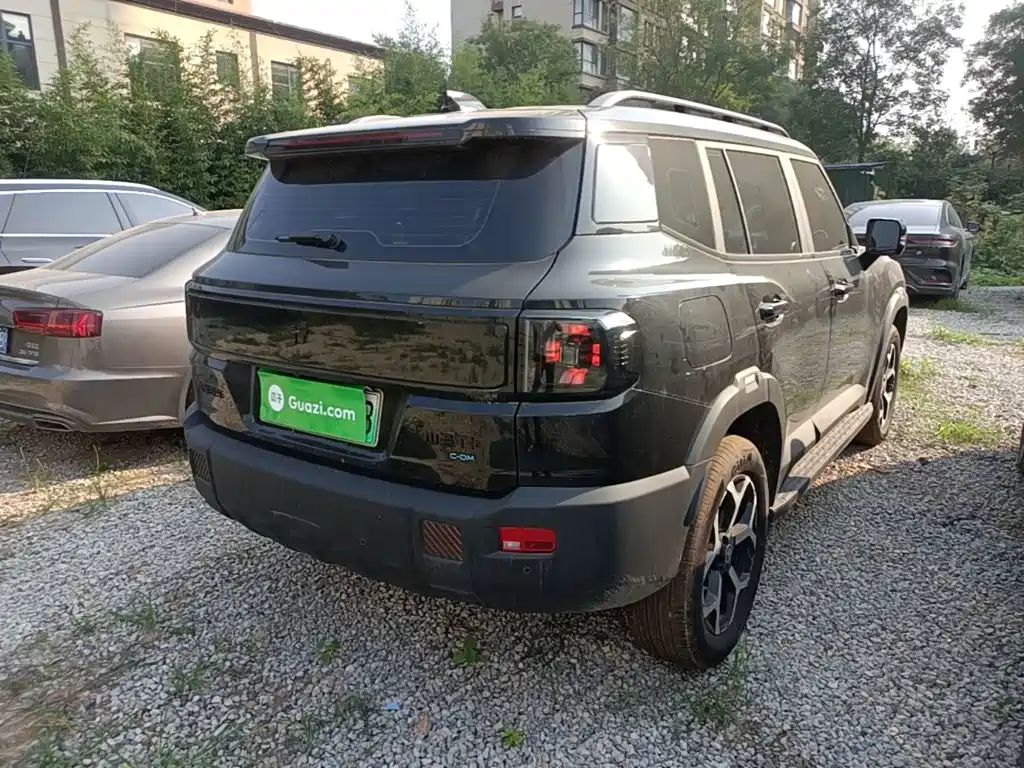 Shanhai Shanhai T1 — миниатюра 7