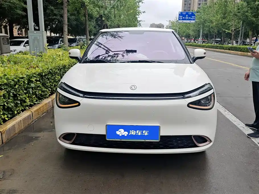 Dongfeng 01 2024 330 Air