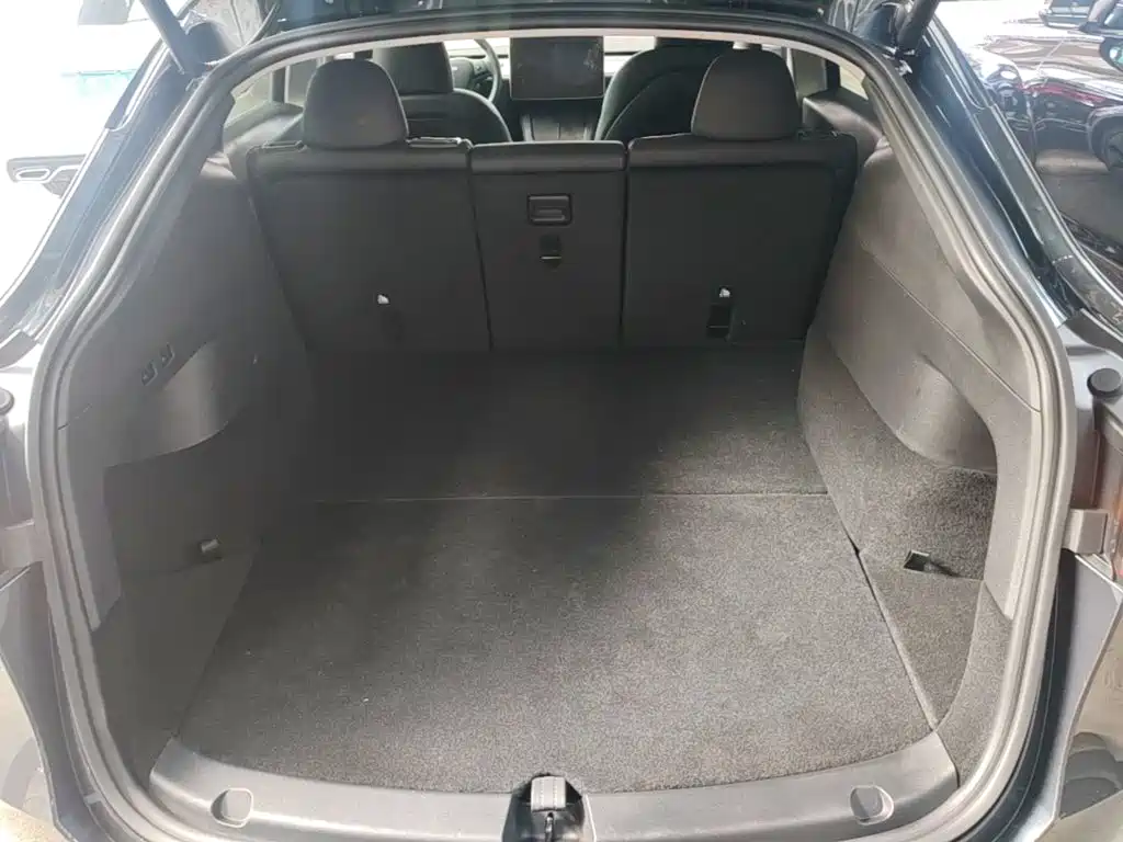 Tesla Model Y — миниатюра 19