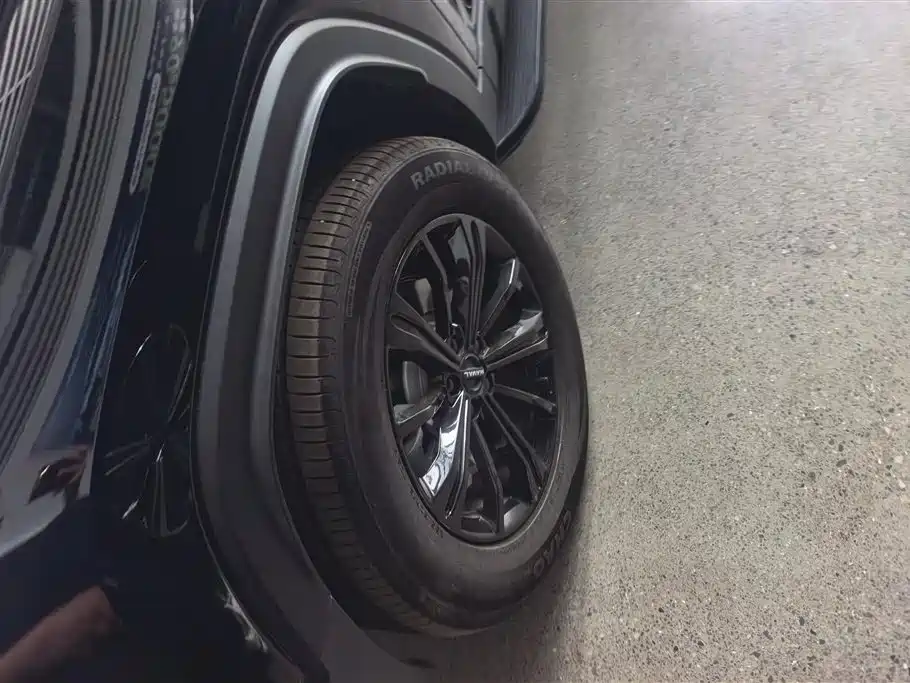 Haval Raptor PHEV 2024 Hi4 145 Pro