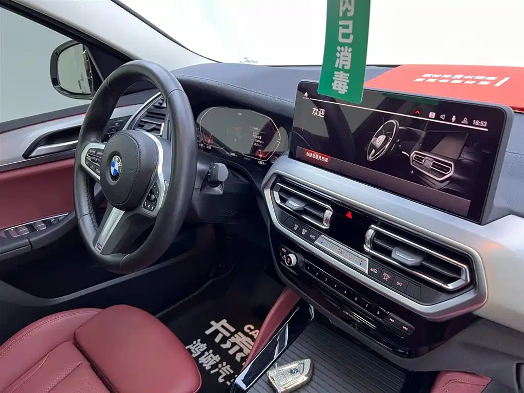 BMW X4 xDrive 25i M Sport Package, фото 20