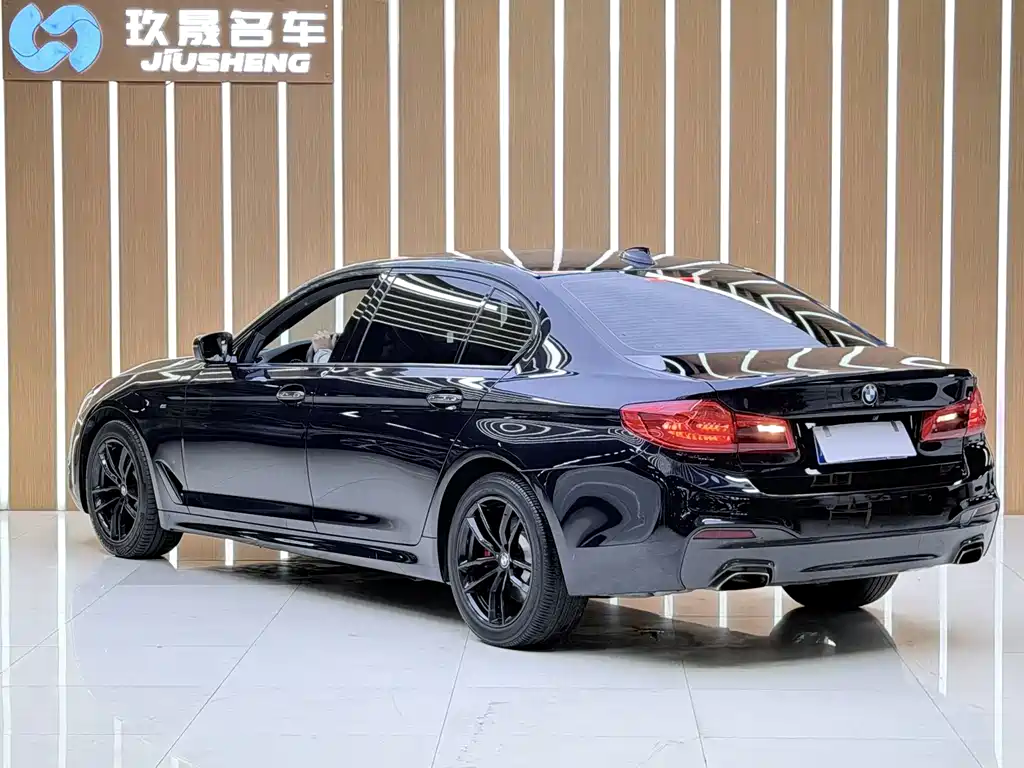 BMW 5 Series — миниатюра 19