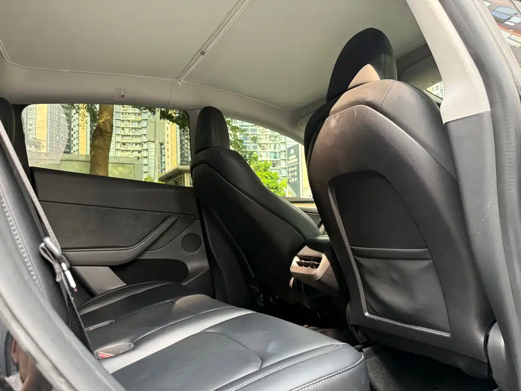 Tesla Model Y — миниатюра 16