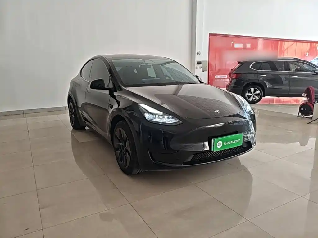 Tesla Model Y — миниатюра 4