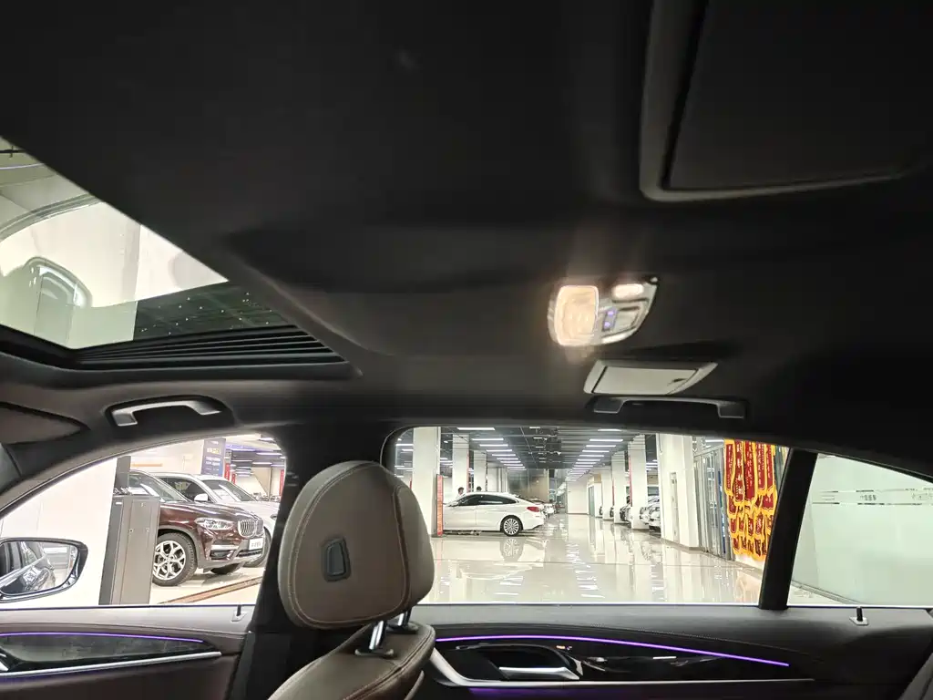 BMW 5 Series 5 2020 525Li M Sport