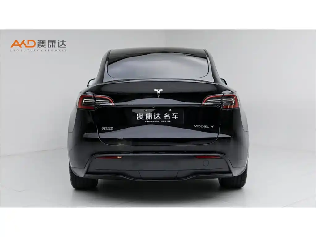 Tesla Model Y — миниатюра 4