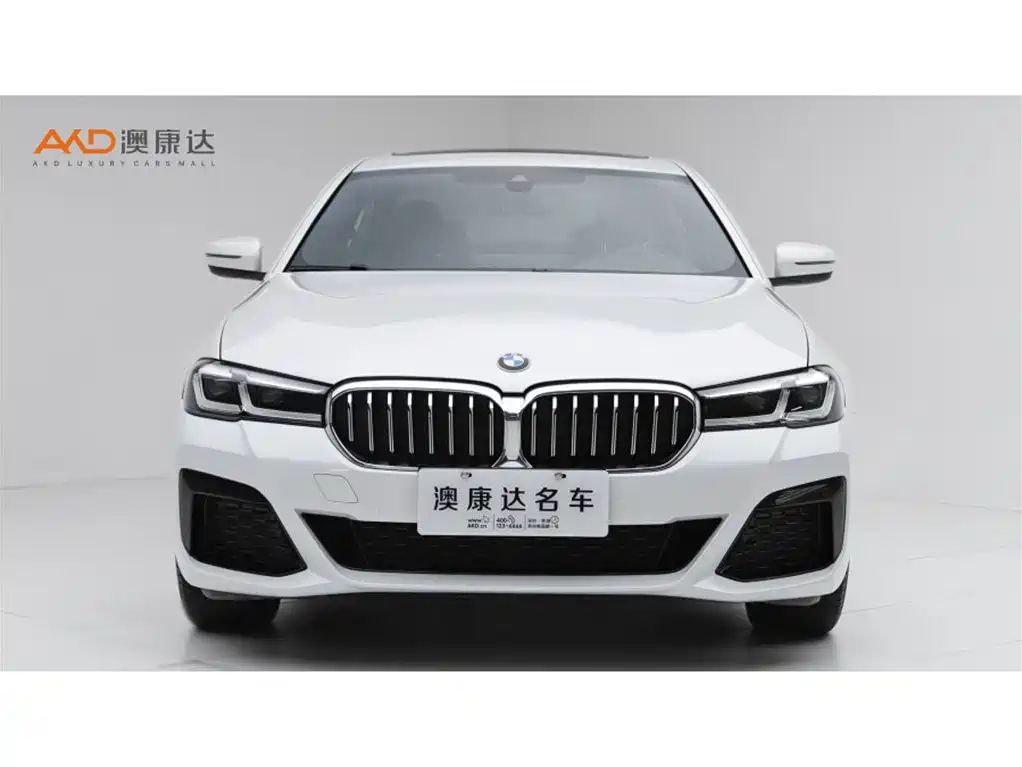 BMW 5 Series — миниатюра 2