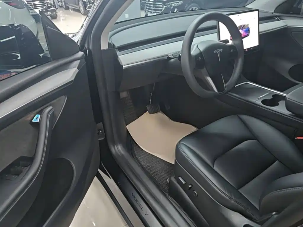 Tesla Model Y — миниатюра 15