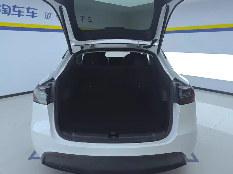 Tesla Model Y — миниатюра 4