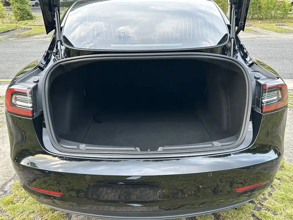 Tesla Model 3 — миниатюра 15
