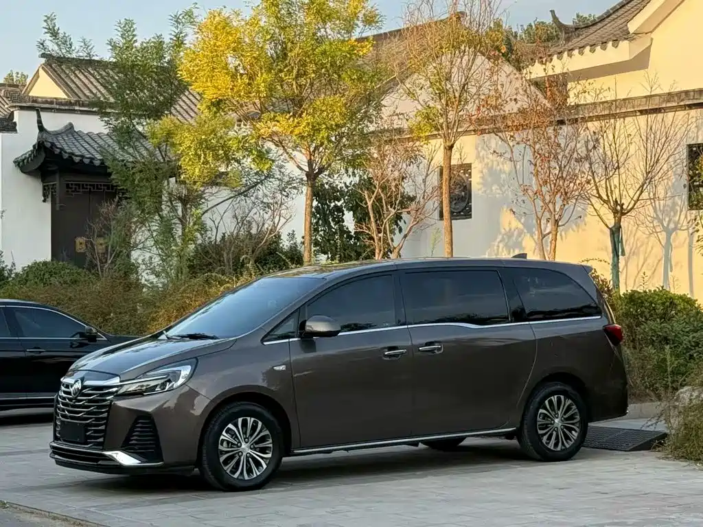 Buick GL8 — миниатюра 2