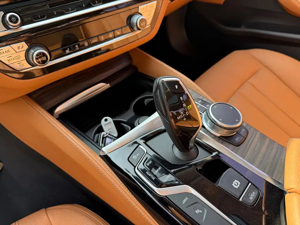 BMW 5 SERIES NEW ENERGY