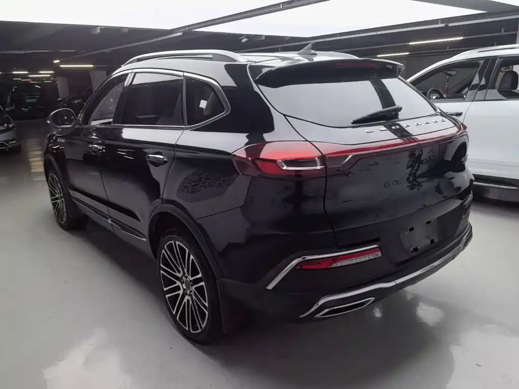 Leopaard Mattu — миниатюра 5