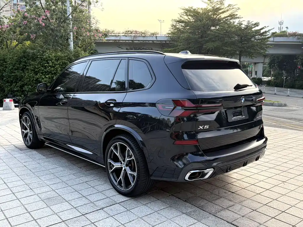 BMW X5 — миниатюра 3