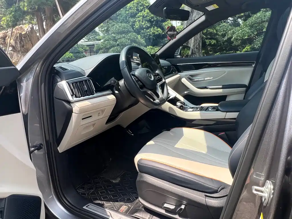 BYD PLUS New Energy — миниатюра 8