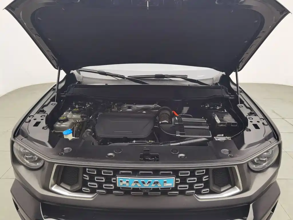 Haval Big Dog PLUS New Energy — миниатюра 6