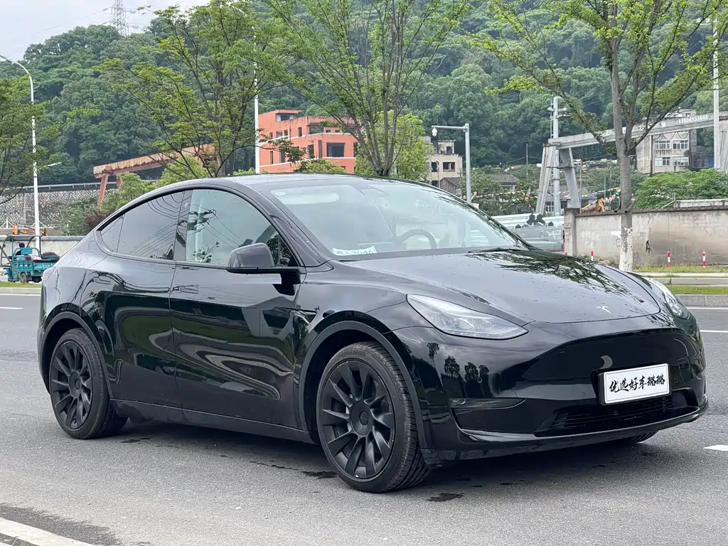 Tesla Model Y 2021