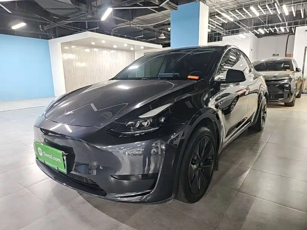 Tesla Model Y — миниатюра 2