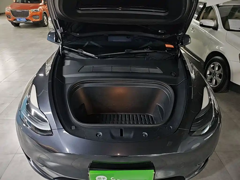 Tesla Model Y — миниатюра 20