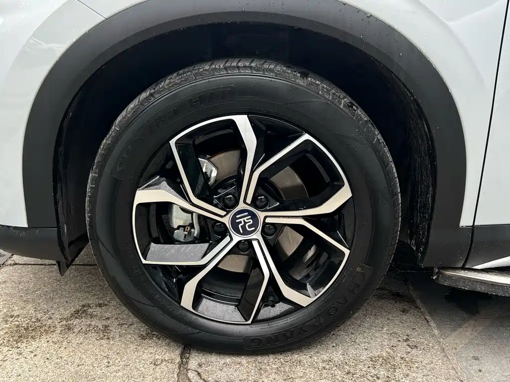 BYD Yuan Plus PLUS 2022 430KM Luxury