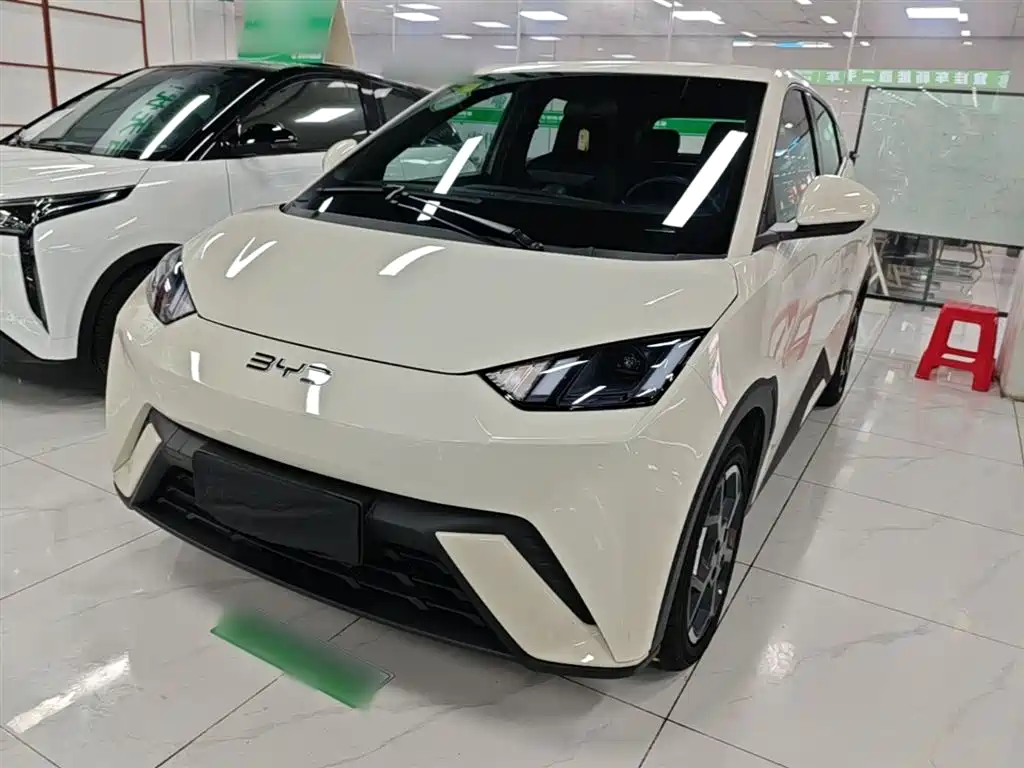 Byd Seagull 2024