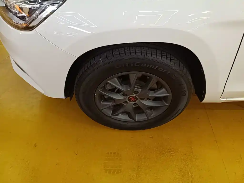 BYD Song — миниатюра 23